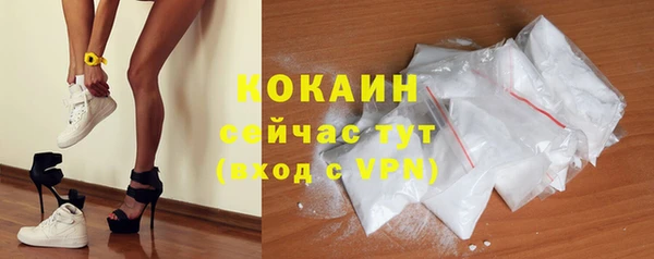индика Волосово