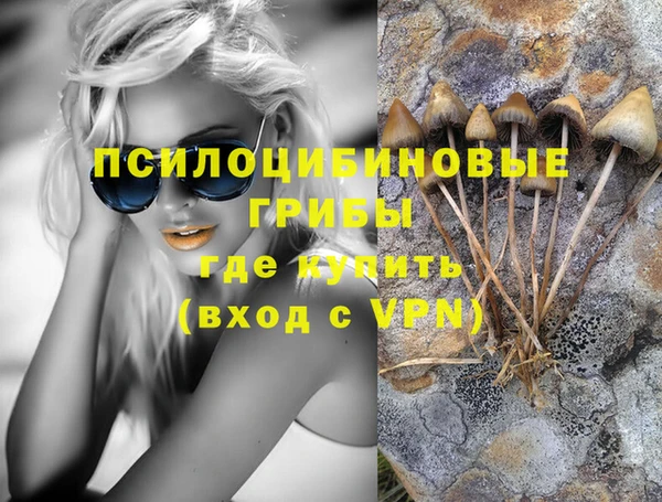 сатива Верхнеуральск