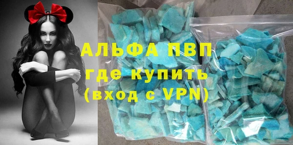 индика Волосово