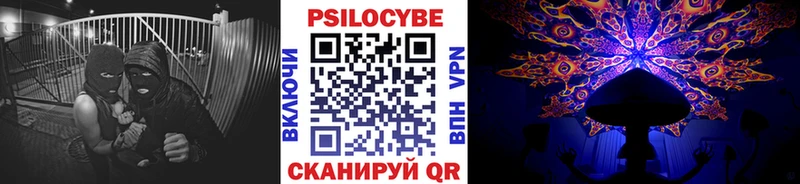 купить наркотик  Орехово-Зуево  Галлюциногенные грибы Cubensis 